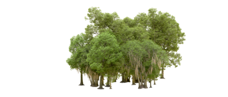 Green forest isolated on background. 3d rendering - illustration png