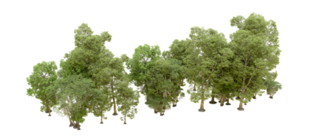 Green forest isolated on background. 3d rendering - illustration png