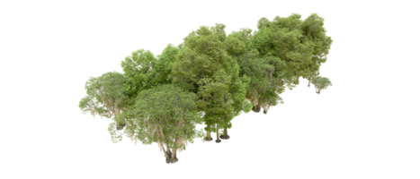 Green forest isolated on background. 3d rendering - illustration png