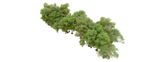 verde floresta isolado em fundo. 3d Renderização - ilustração png