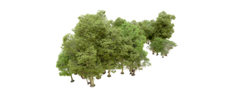 Green forest isolated on background. 3d rendering - illustration png