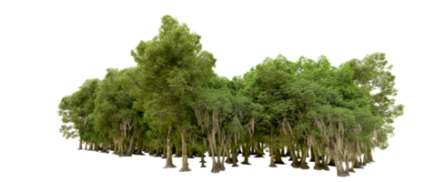 Green forest isolated on background. 3d rendering - illustration png