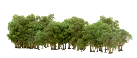 Green forest isolated on background. 3d rendering - illustration png