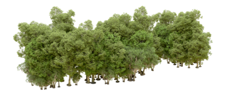 Green forest isolated on background. 3d rendering - illustration png