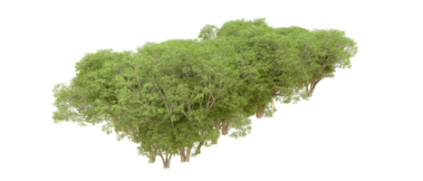 Green forest isolated on background. 3d rendering - illustration png