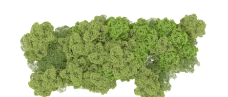 Green forest isolated on background. 3d rendering - illustration png