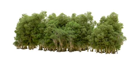 Green forest isolated on background. 3d rendering - illustration png