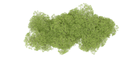 groen Woud geïsoleerd Aan achtergrond. 3d renderen - illustratie png