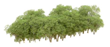 Green forest isolated on background. 3d rendering - illustration png