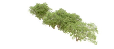 Green forest isolated on background. 3d rendering - illustration png