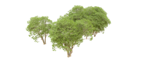 Green forest isolated on background. 3d rendering - illustration png