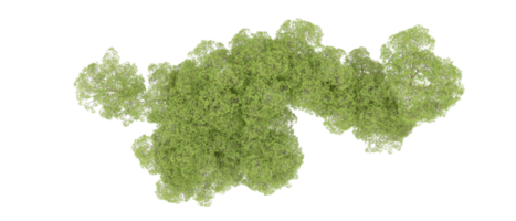 vert forêt isolé sur Contexte. 3d le rendu - illustration png