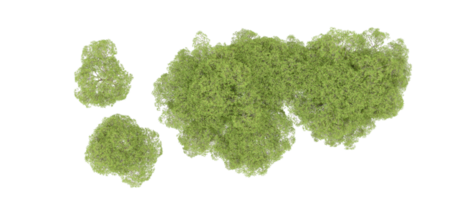 verde foresta isolato su sfondo. 3d interpretazione - illustrazione png