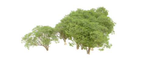 Green forest isolated on background. 3d rendering - illustration png