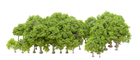 Green forest isolated on background. 3d rendering - illustration png