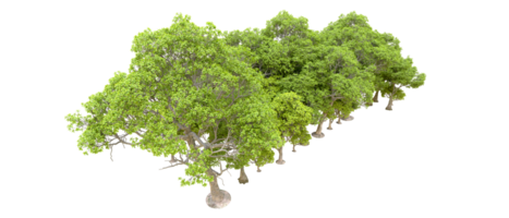 vert forêt isolé sur Contexte. 3d le rendu - illustration png