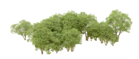 Green forest isolated on background. 3d rendering - illustration png