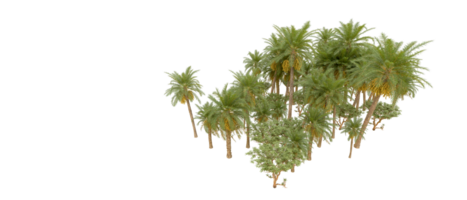 verde floresta isolado em fundo. 3d Renderização - ilustração png