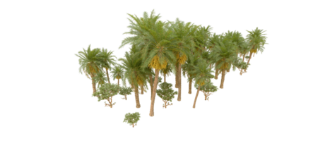 verde floresta isolado em fundo. 3d Renderização - ilustração png