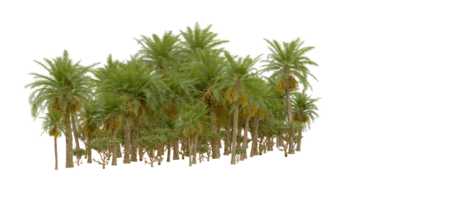 verde floresta isolado em fundo. 3d Renderização - ilustração png