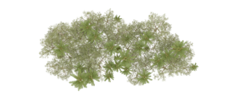 Green forest isolated on background. 3d rendering - illustration png