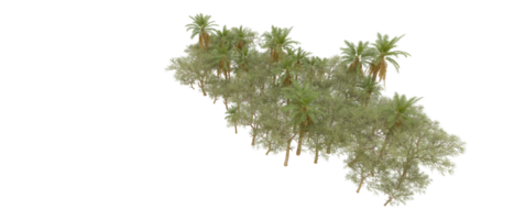 Green forest isolated on background. 3d rendering - illustration png