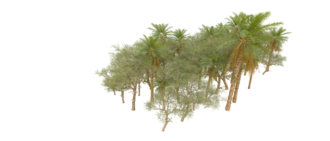 verde foresta isolato su sfondo. 3d interpretazione - illustrazione png