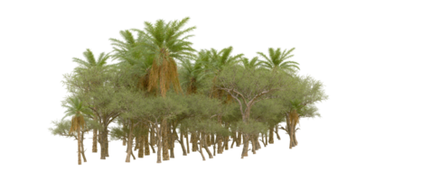 Green forest isolated on background. 3d rendering - illustration png