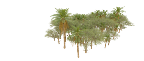 verde foresta isolato su sfondo. 3d interpretazione - illustrazione png