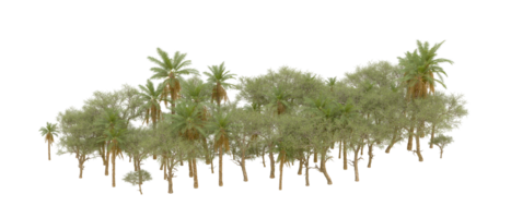 Green forest isolated on background. 3d rendering - illustration png