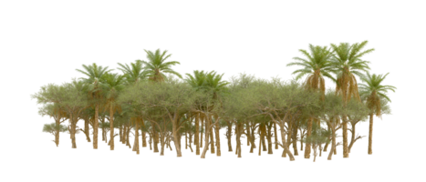 Green forest isolated on background. 3d rendering - illustration png