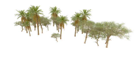 vert forêt isolé sur Contexte. 3d le rendu - illustration png