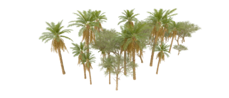 verde floresta isolado em fundo. 3d Renderização - ilustração png