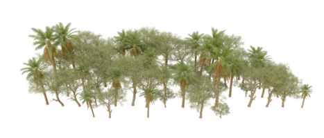 Green forest isolated on background. 3d rendering - illustration png