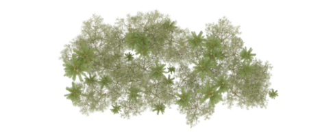 verde foresta isolato su sfondo. 3d interpretazione - illustrazione png