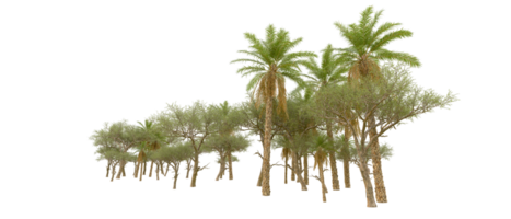 vert forêt isolé sur Contexte. 3d le rendu - illustration png