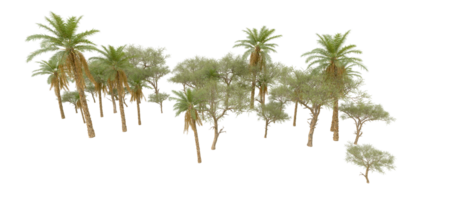 Grün Wald isoliert auf Hintergrund. 3d Rendern - - Illustration png