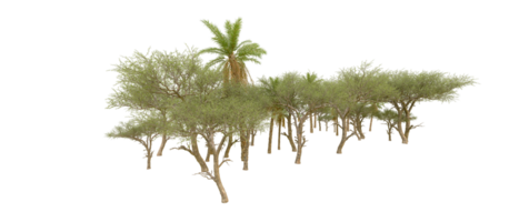 vert forêt isolé sur Contexte. 3d le rendu - illustration png