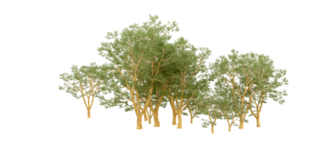 vert forêt isolé sur Contexte. 3d le rendu - illustration png