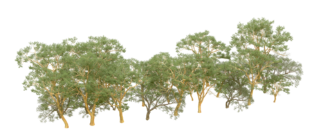 vert forêt isolé sur Contexte. 3d le rendu - illustration png