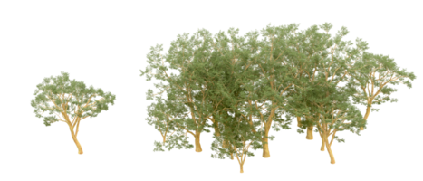 vert forêt isolé sur Contexte. 3d le rendu - illustration png