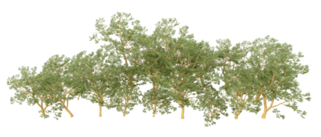 verde floresta isolado em fundo. 3d Renderização - ilustração png