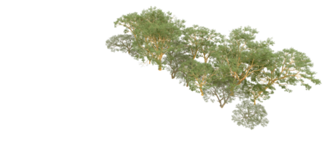 verde floresta isolado em fundo. 3d Renderização - ilustração png