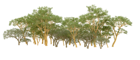 Green forest isolated on background. 3d rendering - illustration png