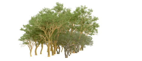 Green forest isolated on background. 3d rendering - illustration png