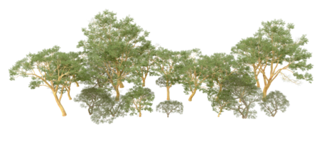 Green forest isolated on background. 3d rendering - illustration png