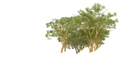 vert forêt isolé sur Contexte. 3d le rendu - illustration png