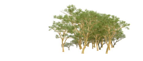 vert forêt isolé sur Contexte. 3d le rendu - illustration png