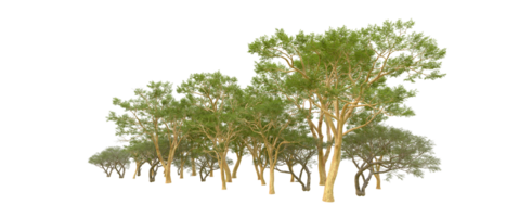 vert forêt isolé sur Contexte. 3d le rendu - illustration png