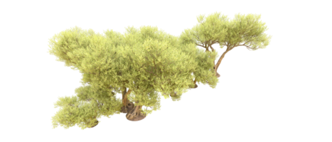 groen Woud geïsoleerd Aan achtergrond. 3d renderen - illustratie png